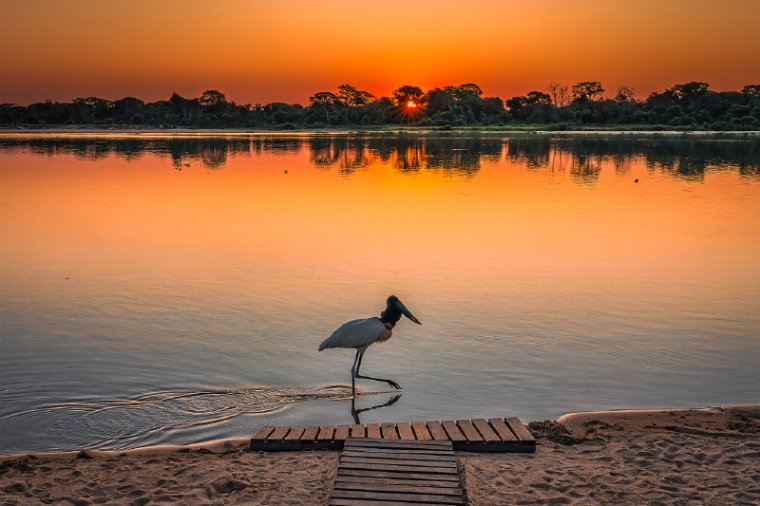 046 Noord Pantanal.jpg